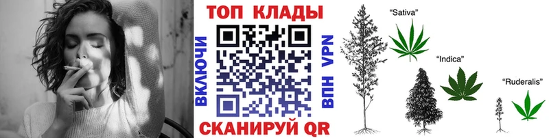 Галлюциногенные грибы Кола