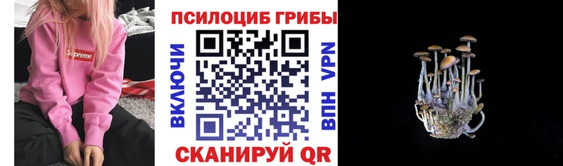 Галлюциногенные грибы прущие грибы  Купить  Кола 