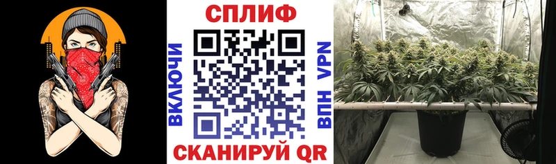 Купить  Кола  Марихуана White Widow 